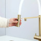 Кухонный смеситель Fabiano FKM 3130 Light Gold с подключением к фильтрованной воде Золото (8231.403.1933)