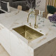 Кухонная мойка с нержавеющей стали Franke BXM 210/110-68, F-Inox Золото (127.0662.643)